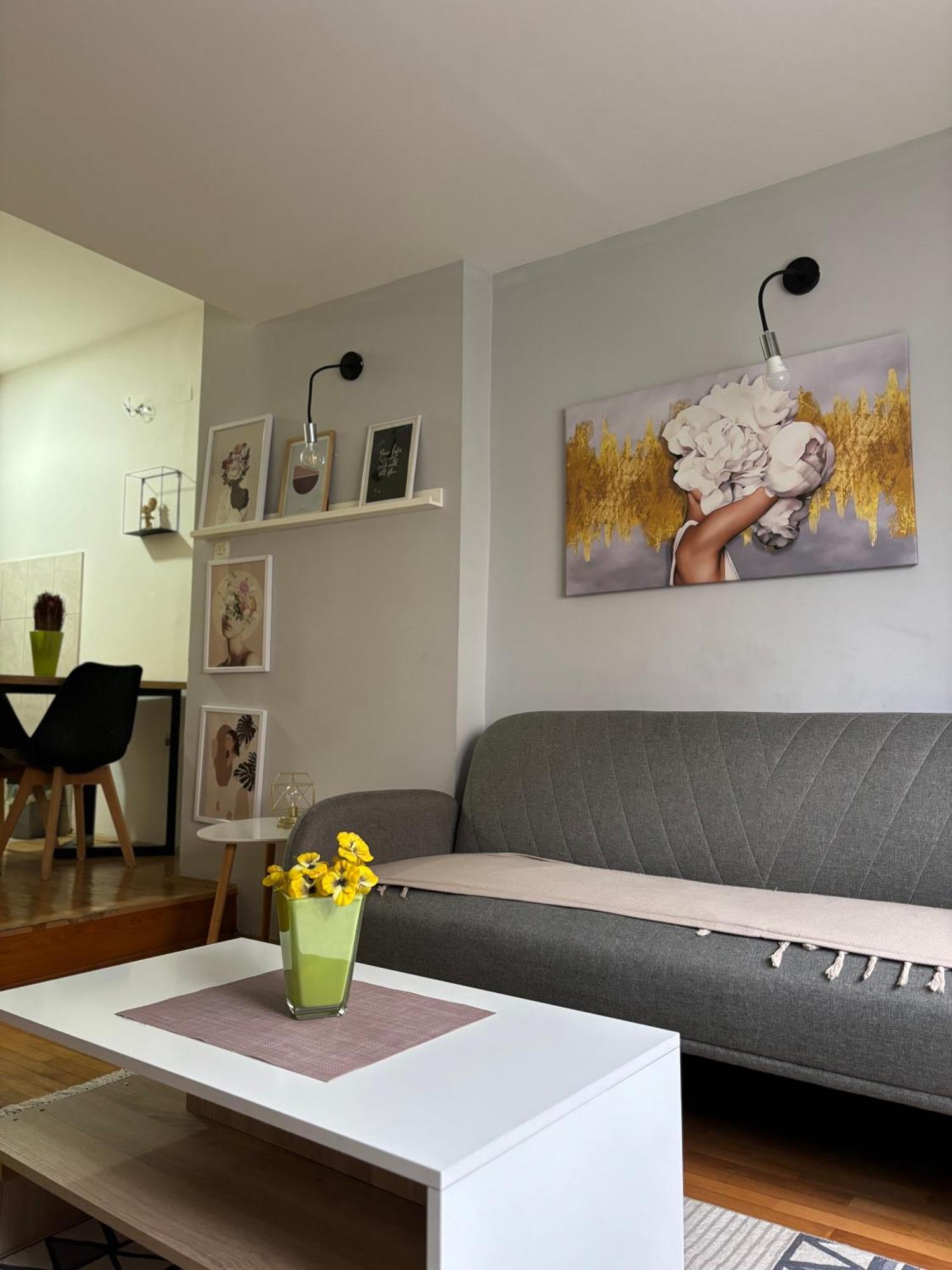 Mia'S Duplex Apartment Szkopje Kültér fotó